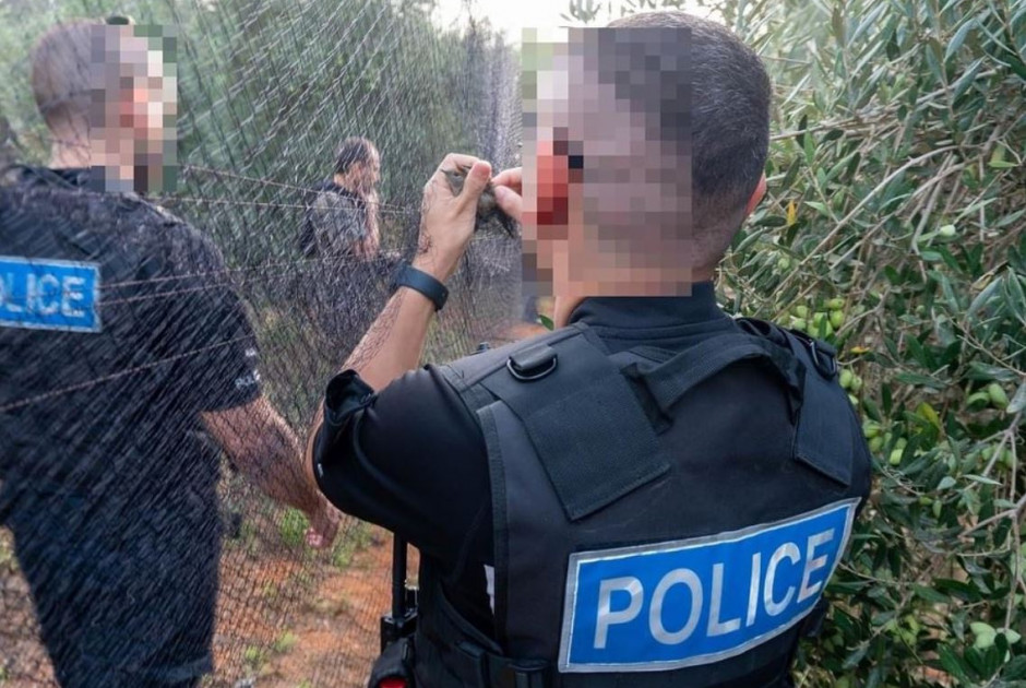 Φυλάκιση 2 μηνών με αναστολή σε Ε/Κ για δίχτυα και αμπελοπούλια