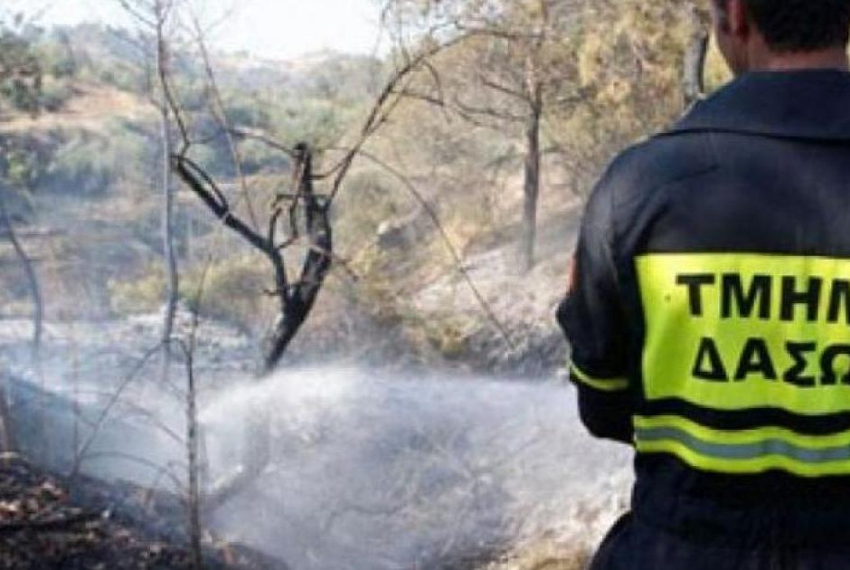 Τέθηκαν σε διαθεσιμότητα τρεις υπάλληλοι του Τμήματος Δασών για υπόθεση οικονομικών ατασθαλιών