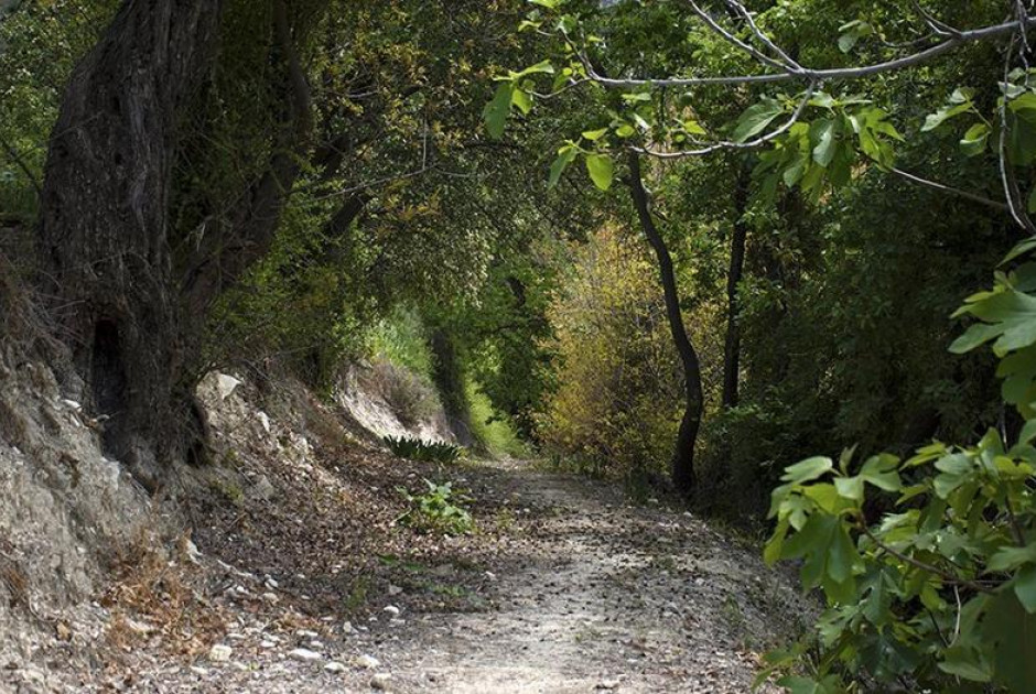 Τμήμα Δασών: Ανοικτά μονοπάτια μελέτης της φύσης